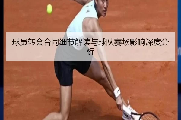 球员转会合同细节解读与球队赛场影响深度分析