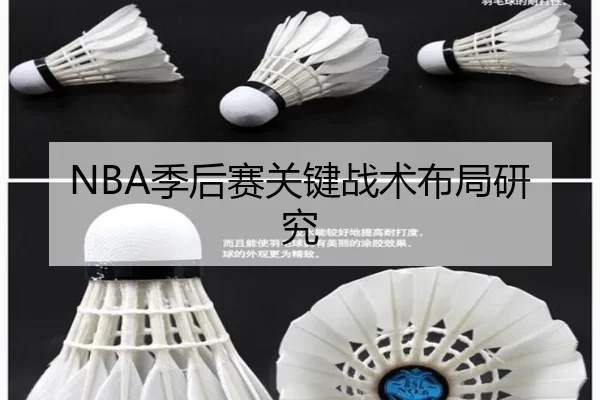 NBA季后赛关键战术布局研究